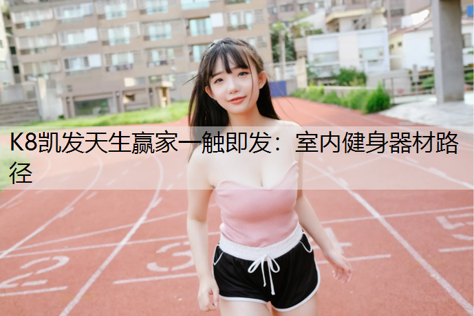 K8凯发天生赢家一触即发：室内健身器材路径