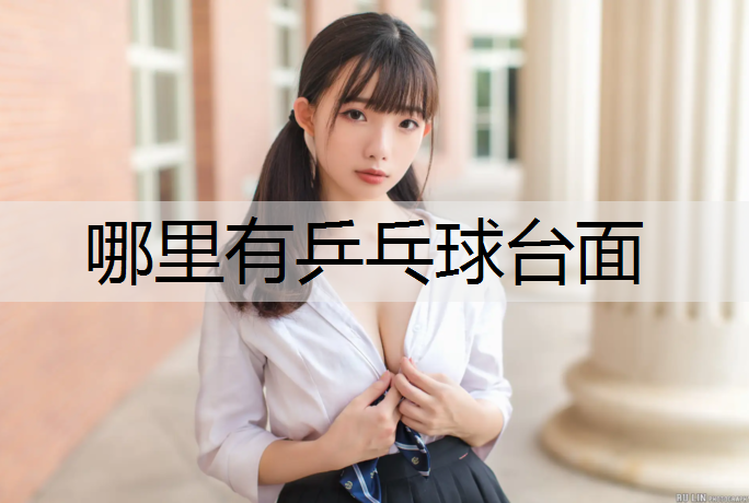 哪里有乒乓球台面