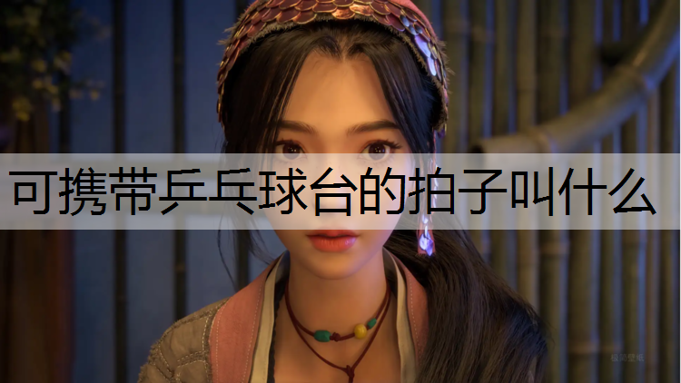 可携带乒乓球台的拍子叫什么