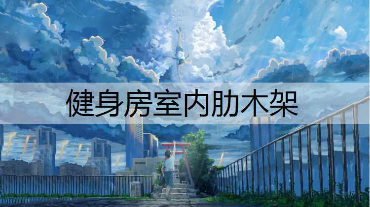 健身房室内肋木架