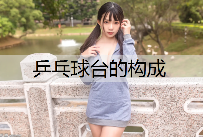 乒乓球台的构成