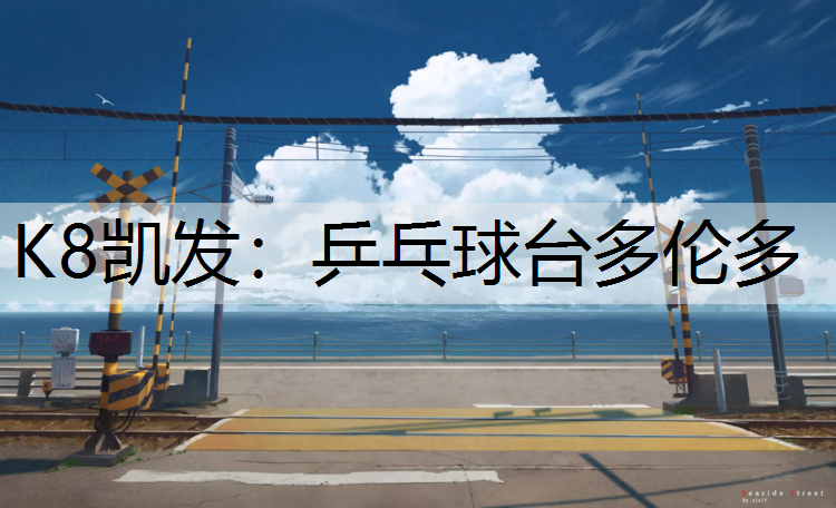 K8凯发：乒乓球台多伦多