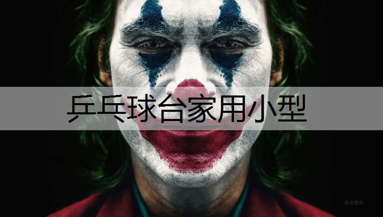 乒乓球台家用小型
