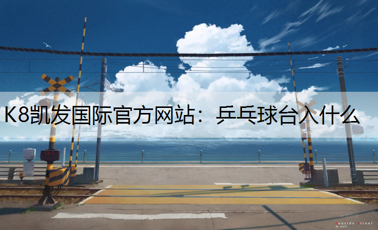 K8凯发国际官方网站：乒乓球台入什么