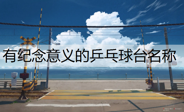 有纪念意义的乒乓球台名称