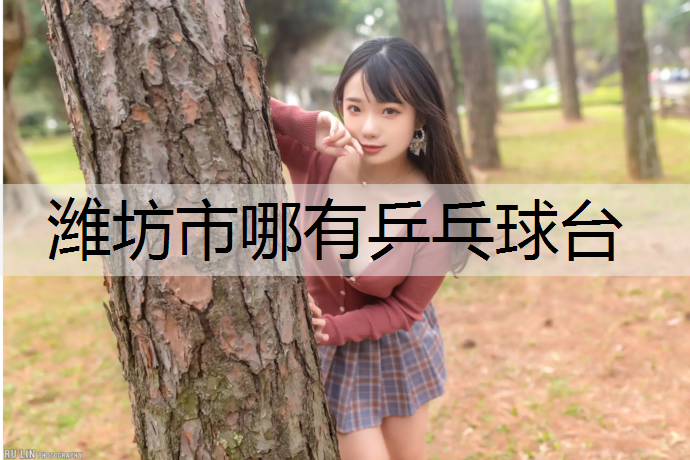 潍坊市哪有乒乓球台