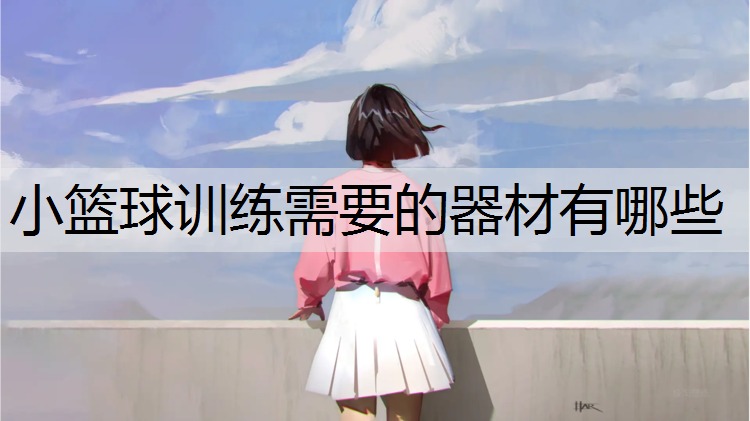 小篮球训练需要的器材有哪些