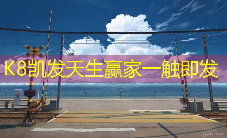 K8凯发：成都全塑型塑胶跑道