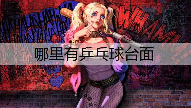 哪里有乒乓球台面
