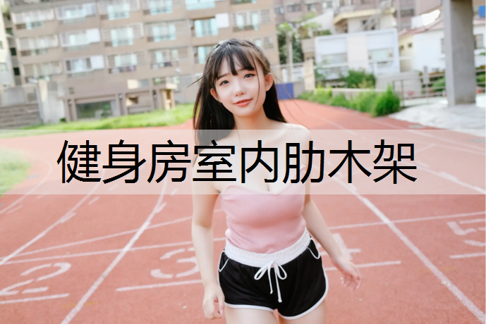 健身房室内肋木架