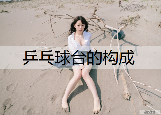 乒乓球台的构成