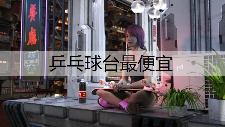 乒乓球台最便宜
