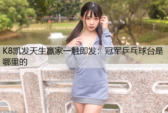 冠军乒乓球台是哪里的