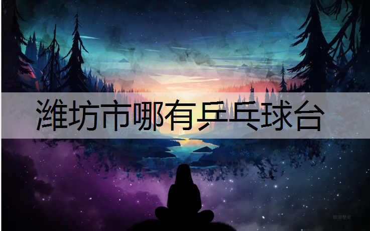 潍坊市哪有乒乓球台