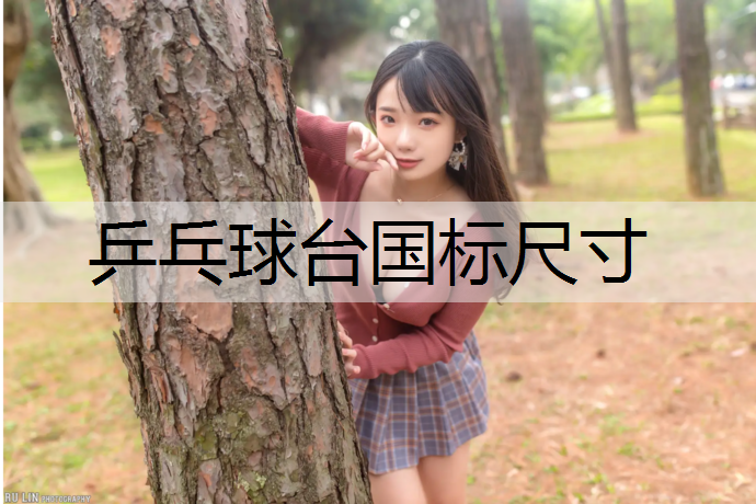 乒乓球台国标尺寸